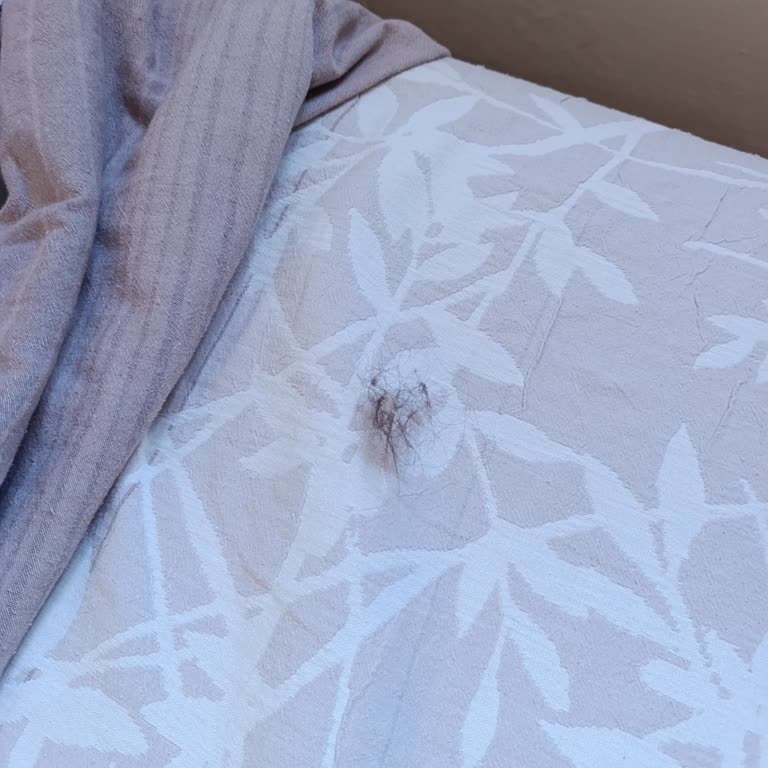 Şekercigiller Konuk Evi Hijyen Sorunu!