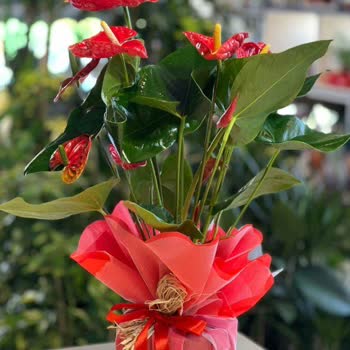 Siparişim Teslim Edilmedi İletişim Kuramıyorum Mağduriyet Yaşıyorum