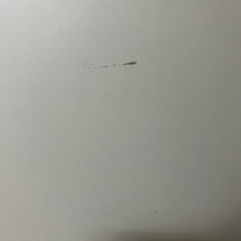 T***** E***** D****** Ç**** K******** D**************