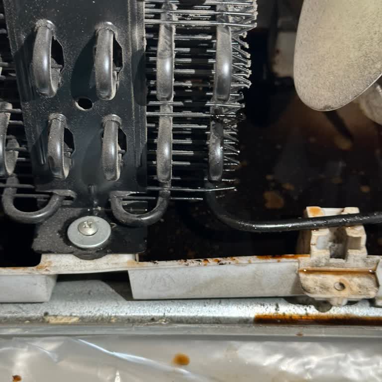 Buzdolabında Arıza Sonrası Kalıcı Koku Sorunu Ve Çözüm Talebi