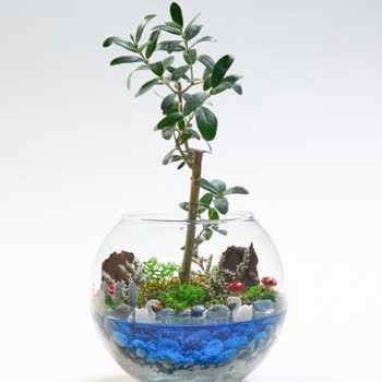 Eksik Ürün Ve Olumsuz Müşteri Hizmetleri Deneyimi