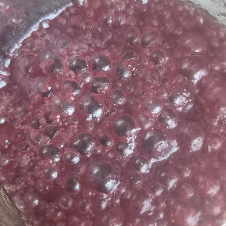 BİMden Aldığım Karadut Özü Sahte Mi Endişeliyim