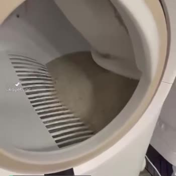 Xenon Smart Kedi Tuvaleti Sıkıntısı!