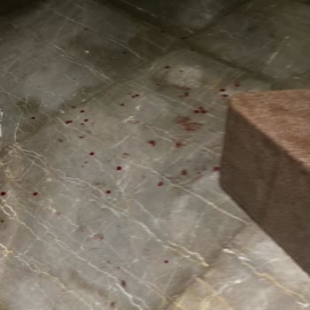 Otel Yönetiminin Haksız Çıkışı Ve İade Sorunu: Mağduriyetimizin Giderilmesini Talep Ediyoruz