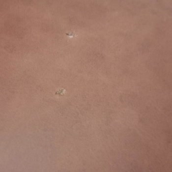 Koltuk Takımında Kırık Ayaklar Ve İlgisiz Satıcı