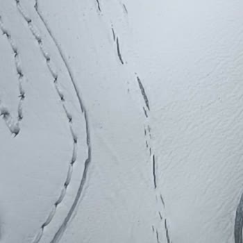 Yeni Alınan Puma Ayakkabının İlk Giyişte Çatlaması Ve Mağazadan Olumsuz Yanıt Alınması