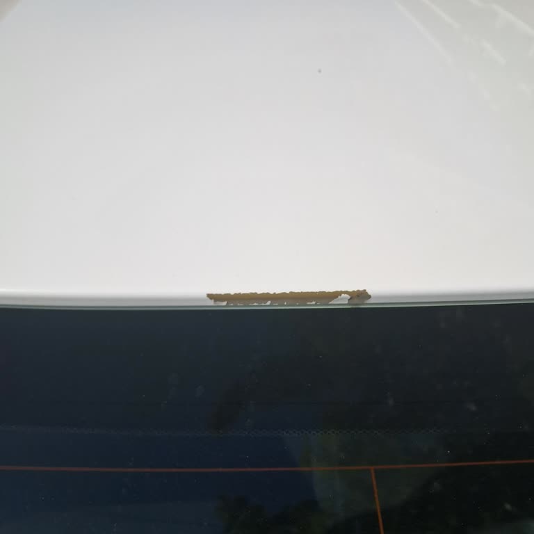 Honda Civic Tavan Camında Boya Atması Ve Garanti Dışı Onarım Sorunu