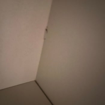 Teslimat Sorunu Ve İlgisizlikle Hayal Kırıklığı