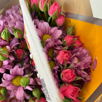 Solmuş Ve Kirli Çiçek Teslimatı Nedeniyle Mağduriyet