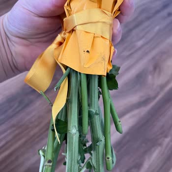 Solmuş Ve Kirli Çiçek Teslimatı Nedeniyle Mağduriyet