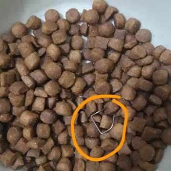 Kedi Mamasından Zımba Teli Çıktı, Sağlık Riskiyle Karşı Karşıyayım