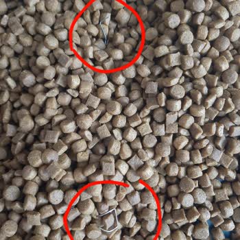 Kedi Mamasından Zımba Teli Çıktı, Sağlık Riskiyle Karşı Karşıyayım