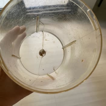 Blender Haznesi Çatladı, Yedek Parça Talebime Çözüm Bekliyorum