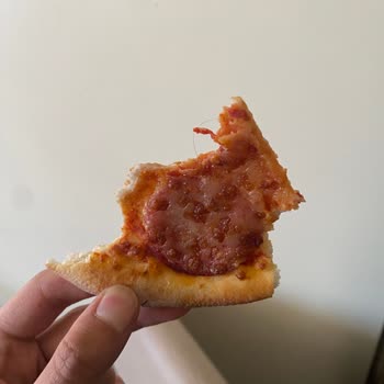 Domino's Pizza Siparişimde Hijyen Sorunu Ve İade Talebim