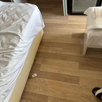 Söz Otel Bodrum Gümbet'te Temizlik Ve Hizmet Sorunları, Ücret İadesi Talebi