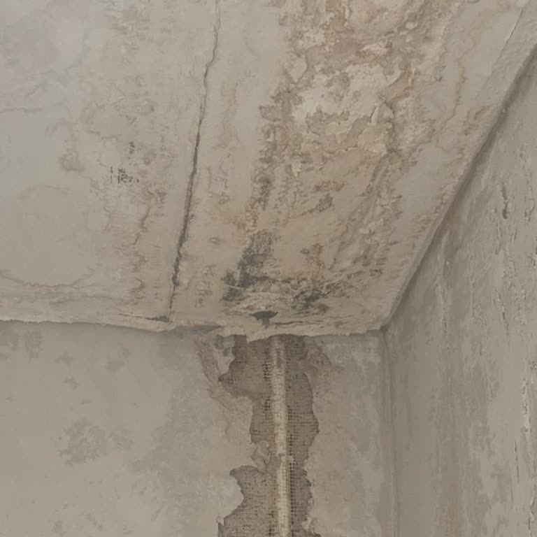 Emlak Konut Projede 15 Aydır Süren Tesisat Kaçağına Çözüm Sunmuyor