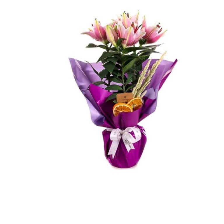 Görselden Farklı Gelen Çiçek Ve Reddedilen Siparişin Teslimatı Nedeniyle Ücret İadesi Talebim