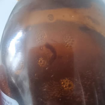 Argivit Aldığım Şurubun İçinde Partiküller Çıktı, Açıklama Ve İade Talep Ediyorum