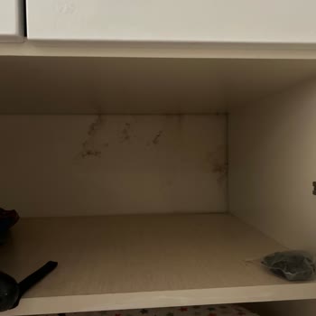 Aksigorta Hasar Ödemesi Yetersiz Kaldı Bebekle Sağlıksız Evde Mağduruz