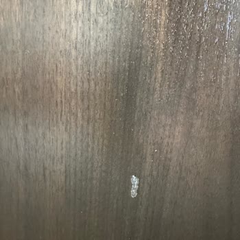 Garanti Kapsamındaki Konsol İçin Haftalardır Dönüş Alamıyorum