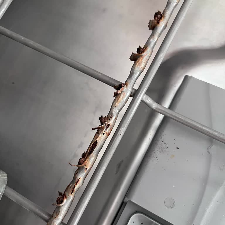 Teka Bulaşık Makinesi Sepetleri Paslandı, Verilen Ücretsiz Değişim Sözü Tutulmadı