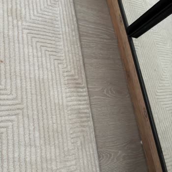 Roborock S8 Mop Malfunction Not Resolved Despite Service Claim