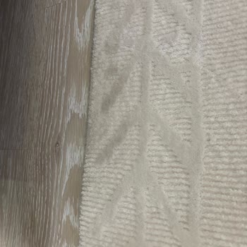 Roborock S8 Mop Malfunction Not Resolved Despite Service Claim