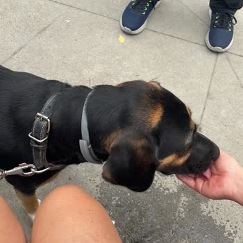 EasyCep'te Satış Sonrası Ödeme Gecikmesi Ve İletişim Sorunu