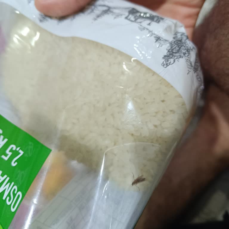 Yemeksepeti Market Aldığım Bakliyat Ürünlerinde Kurtlanma Ve Müşteri Hizmetlerine Ulaşamama Sorunu