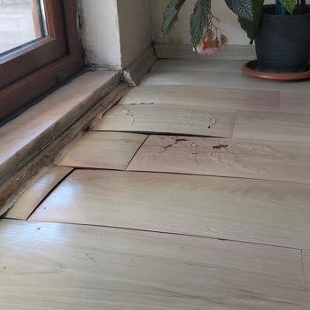 Ray Sigorta Hasar Ödemesinin Gecikmesi Ve Süreçte Yaşanan Aksaklıklar