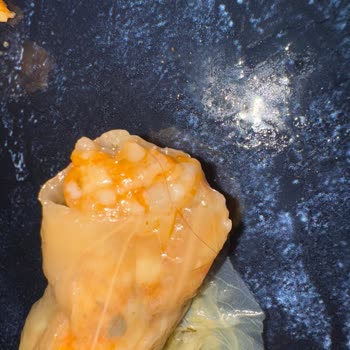 Sera Lahana Sarmasında Saç Çıkması Ve Tekrar Eden Hijyen Sorunu