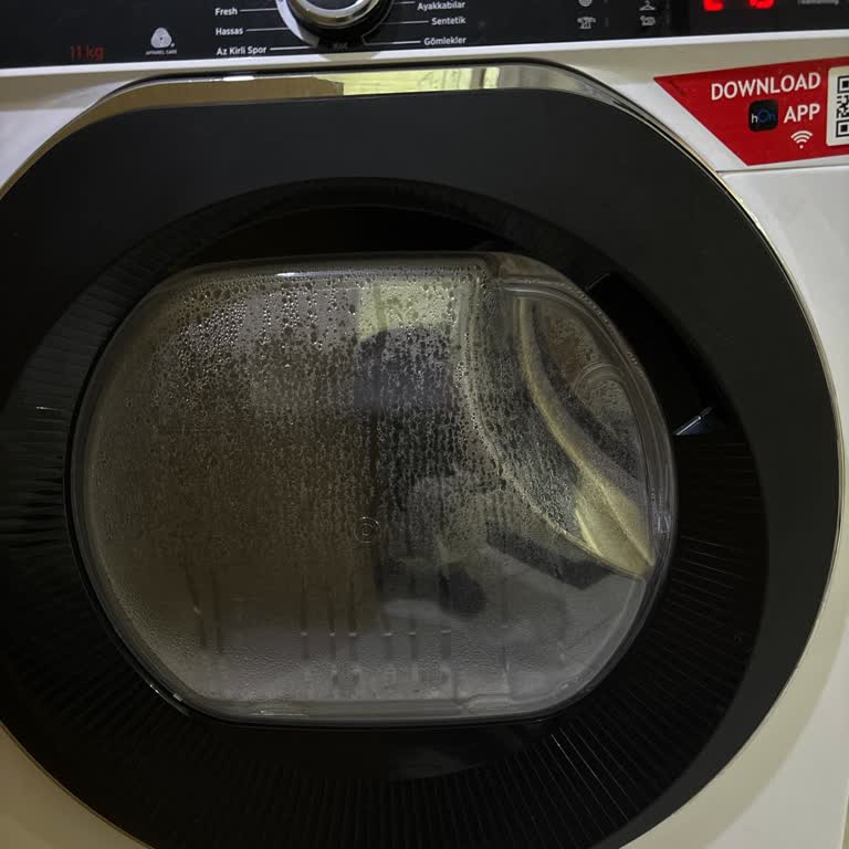 Hoover Kurutma Makinesi Arızası Ve Servis Desteği Sorunu