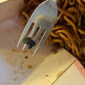 Sushi Ba Restoranında Yabancı Cisimli Noodle Ve Hijyen Sorunu