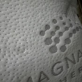 Bambi Yatakta Büyüyen Yırtık Ve Değişim Talebi