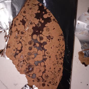 Küflü Çikolata Şoku: Sağlığımız Tehlikede!