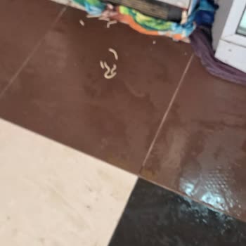 Kötü Temizlik, Hijyen Sorunları Ve İlgisiz Personel Nedeniyle Hayal Kırıklığı Yaşadık