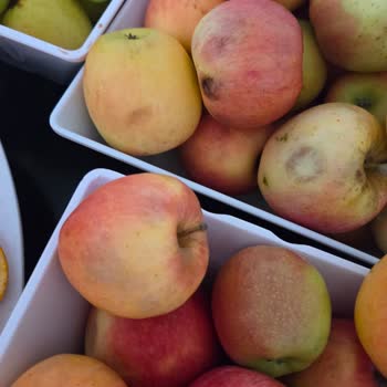 Kötü Temizlik, Hijyen Sorunları Ve İlgisiz Personel Nedeniyle Hayal Kırıklığı Yaşadık