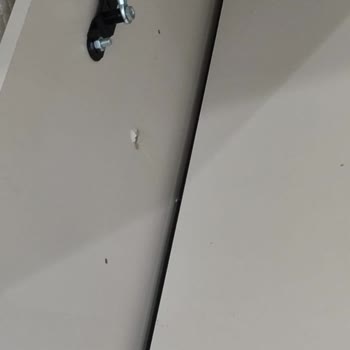 Kelebek Mobilya'dan Alınan Ürünlerde Montaj Hataları Ve Servis Gecikmesi