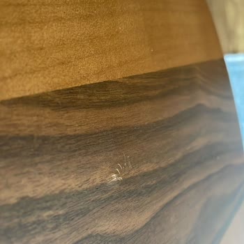 Engince Yaşam Alanları Teslimat Gecikti Kusurlu Ürün Ve İlgisiz Müşteri Hizmetleri