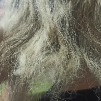 Kuaförde Yapılan Ombre İşlemi Sonrası Kızımın Saçında Ciddi Zarar Ve İlgisiz Yaklaşım