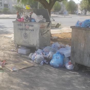 İzmir Büyükşehir Belediyesi Çiğli Evka-5 Mahallesinde Sokak Temizliği Sorunu