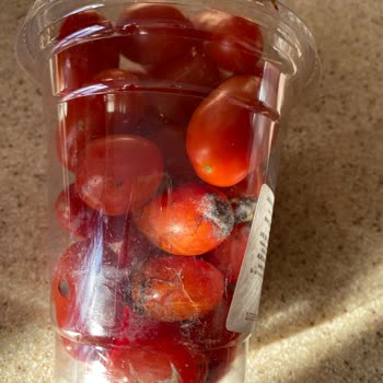 Migros Hemen Siparişimde Bozuk Ürünler Ve Ücret İadesi Sorunu Yaşadım