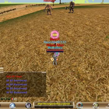 Revenger Online'da Slotların Sürekli Aynı Kişiler Tarafından İşgal Edilmesi