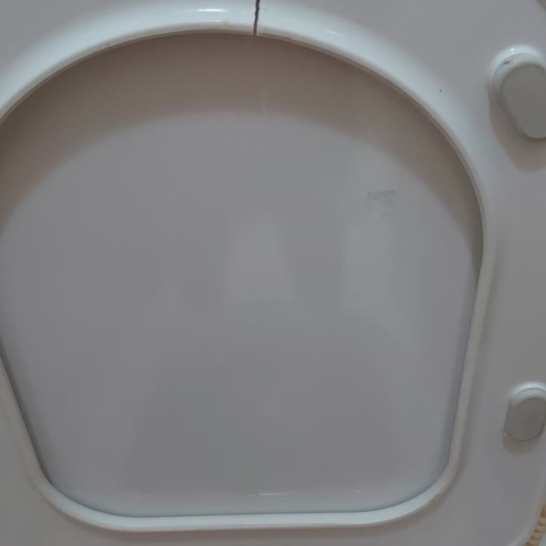 Kullanılmayan Klozet Kapağı Kısa Sürede Kırıldı, Mağduriyet Yaşıyoruz