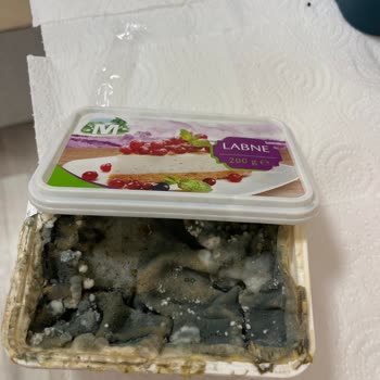 Migros Sanal Marketten Bozuk Ve Tarihi Geçmiş Ürün Teslimatı Mağduriyeti