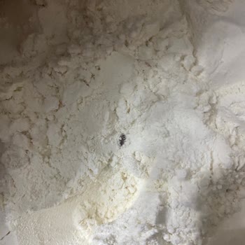 Aldığım Unun İçinden Böcek Çıktı, Mağduriyetimin Giderilmesini İstiyorum