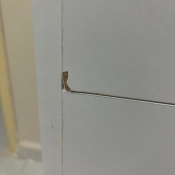 Hasarlı Ürün Teslimatı Ve Fiyat Farkı Sorunu