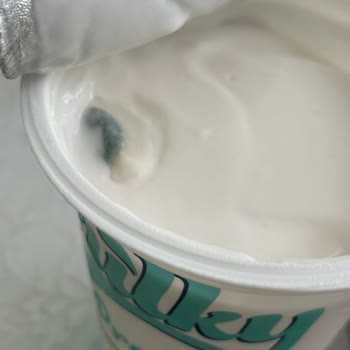 Son Kullanma Tarihi Geçmemiş Yoğurtta Küf Şoku Yaşadım