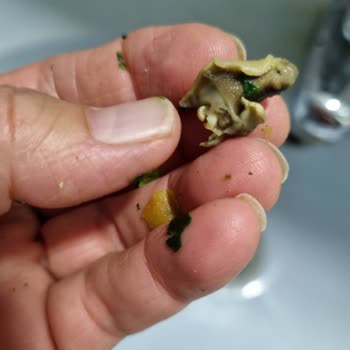 Dondurulmuş Ispanakta Salyangoz Çıktı, Bebeğimin Sağlığı Tehlikeye Girdi