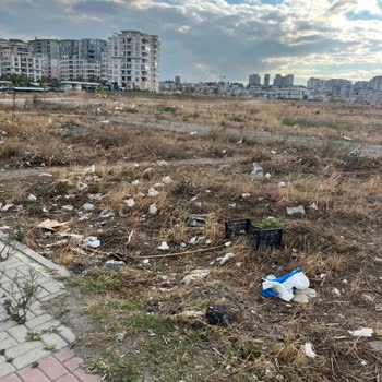 Küçükçekmece'de Çevre Kirliliği Ve Temizlik Eksikliği Sorunu